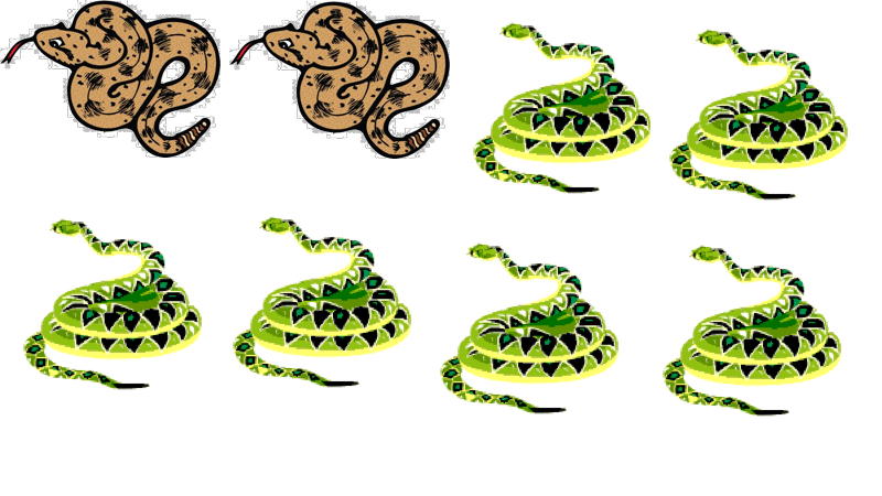 Introducing fractions with 2 out of 8 snakes are brown
